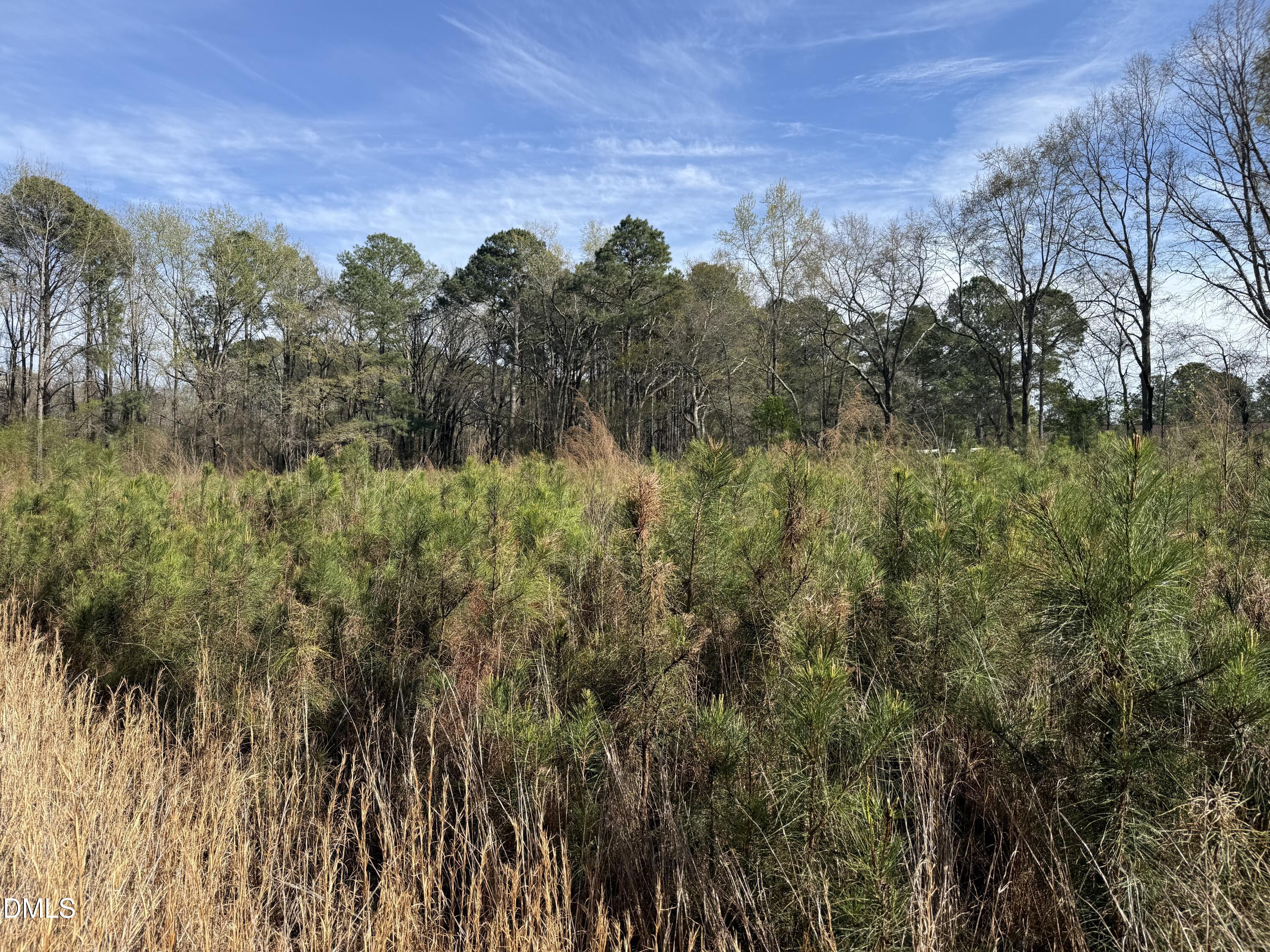 0 Chic Ennis Road Benson, NC 27504 - Photo 8 of 11 a view of a yard and mountain