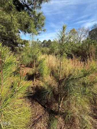 $400,000 | 0 Chic Ennis Road, Benson, NC 27504