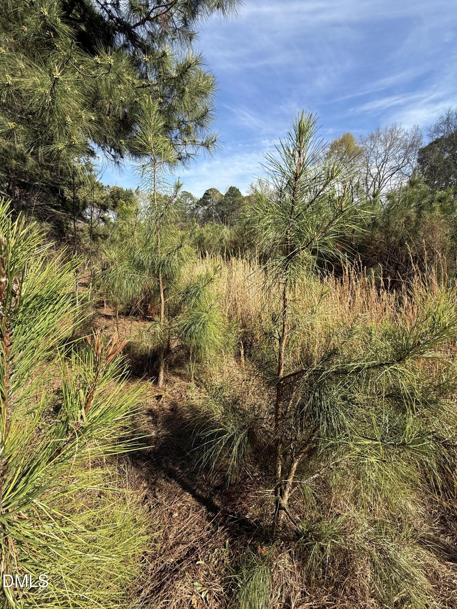 0 Chic Ennis Road Benson, NC 27504 - Photo 10 of 11 a view of a lake