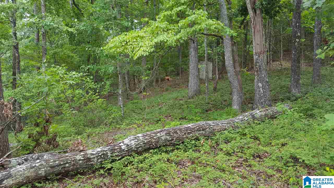11-acres Deer Run Road, Unit 148330000001 010 Alabaster, AL 35007 - Photo 12 of 34