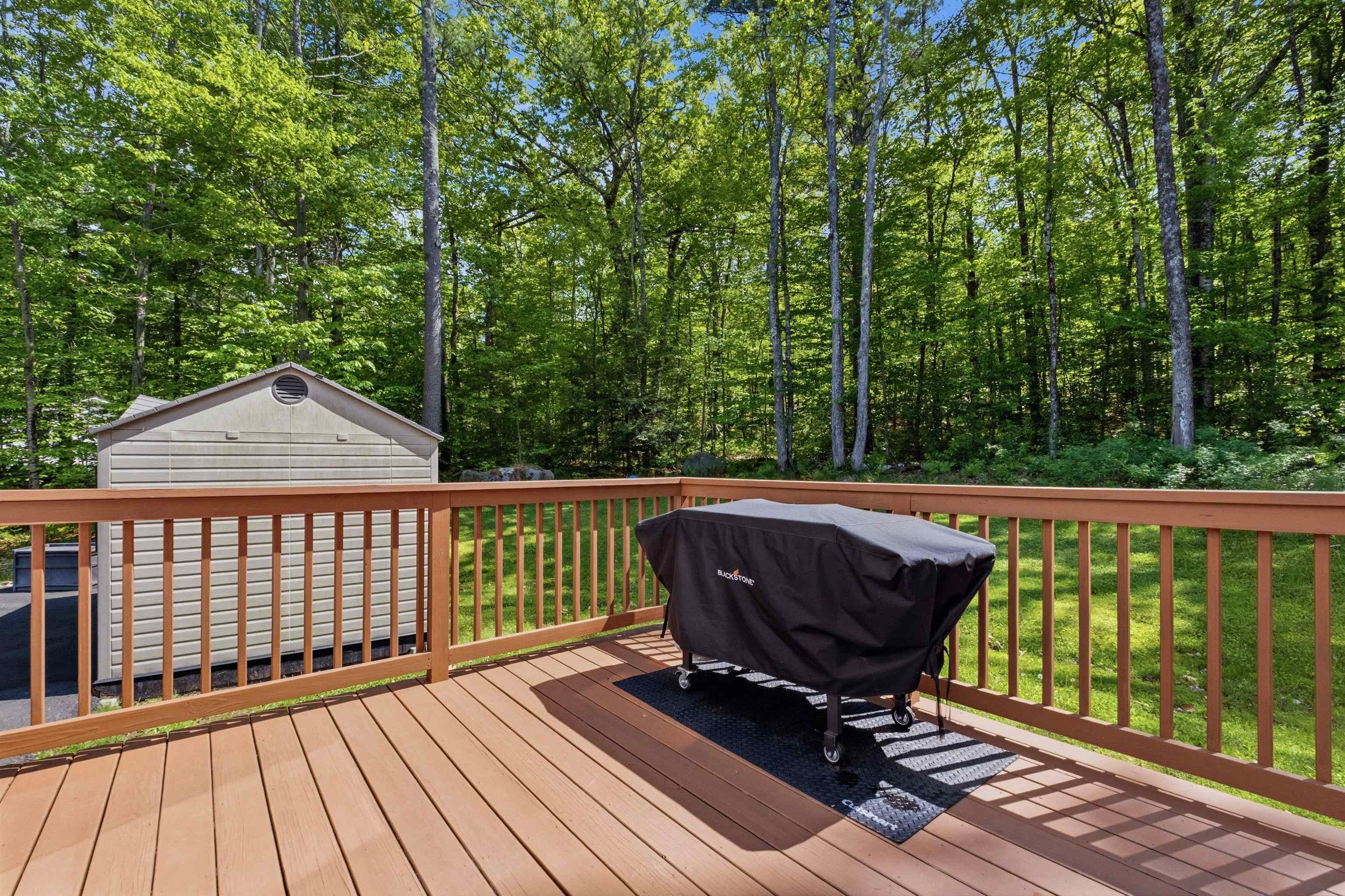 19 Birch Hill Road Meredith, NH 03253 - Photo 44 of 53