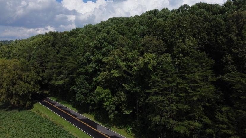 968 County Road Delano, TN 37325 - Photo 7 of 9