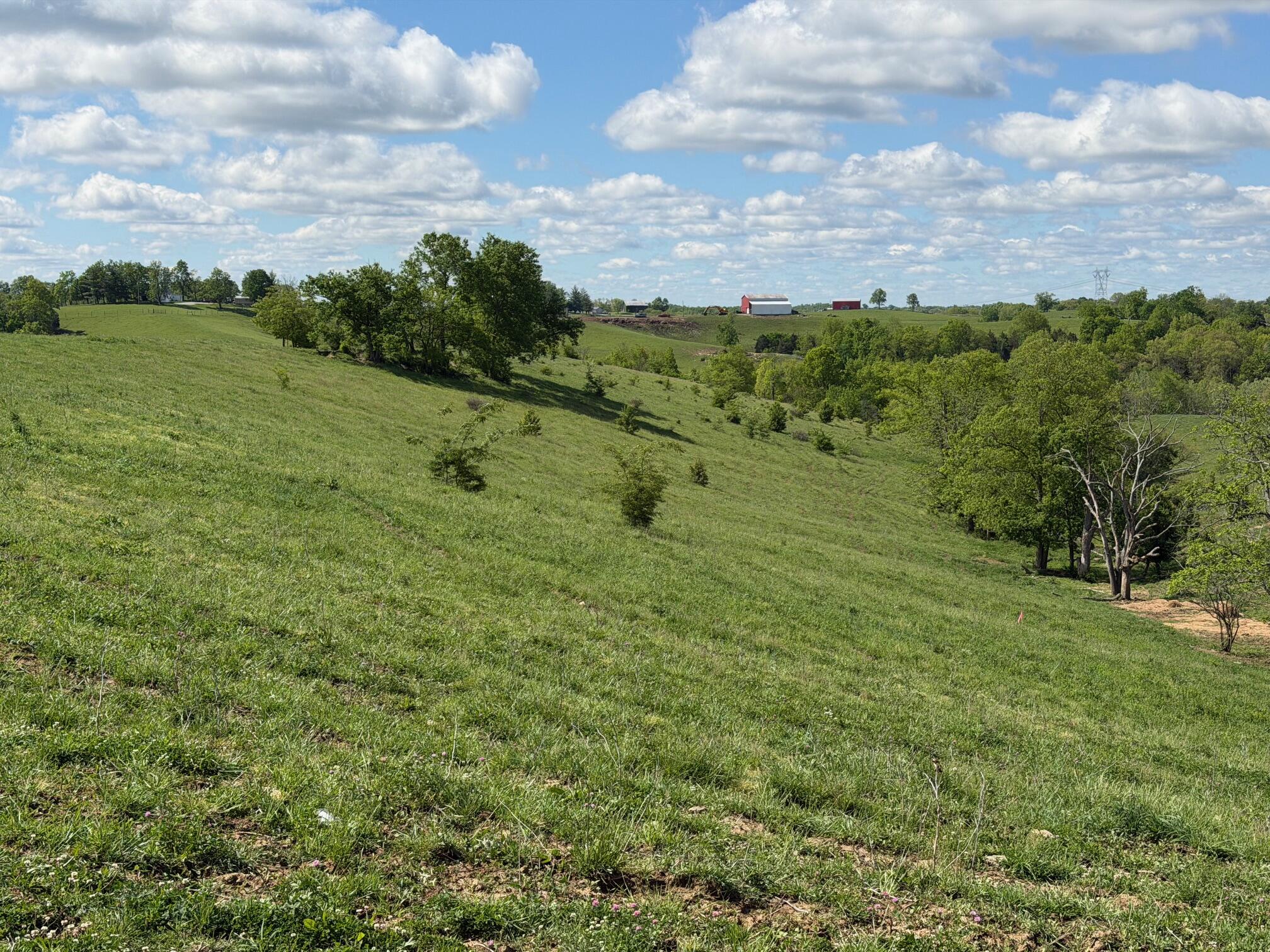 24.81-ac Chipman Ridge Road Williamstown, KY 41097 - Photo 3 of 17