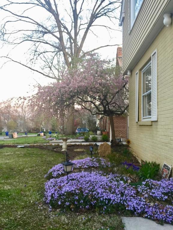 400 Arden Road Columbus, OH 43214 - Photo 5 of 45 Gallery Image 5