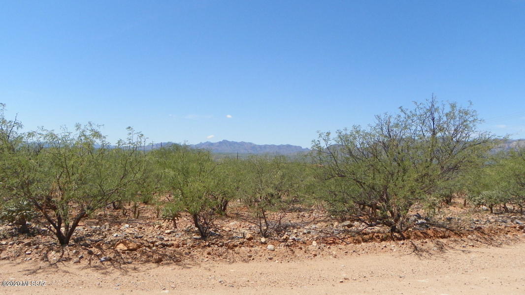 1734 Circulo Agua Blanca, Unit 75 Rio Rico, AZ 85648 - Photo 1 of 2 a view of a yard with a tree