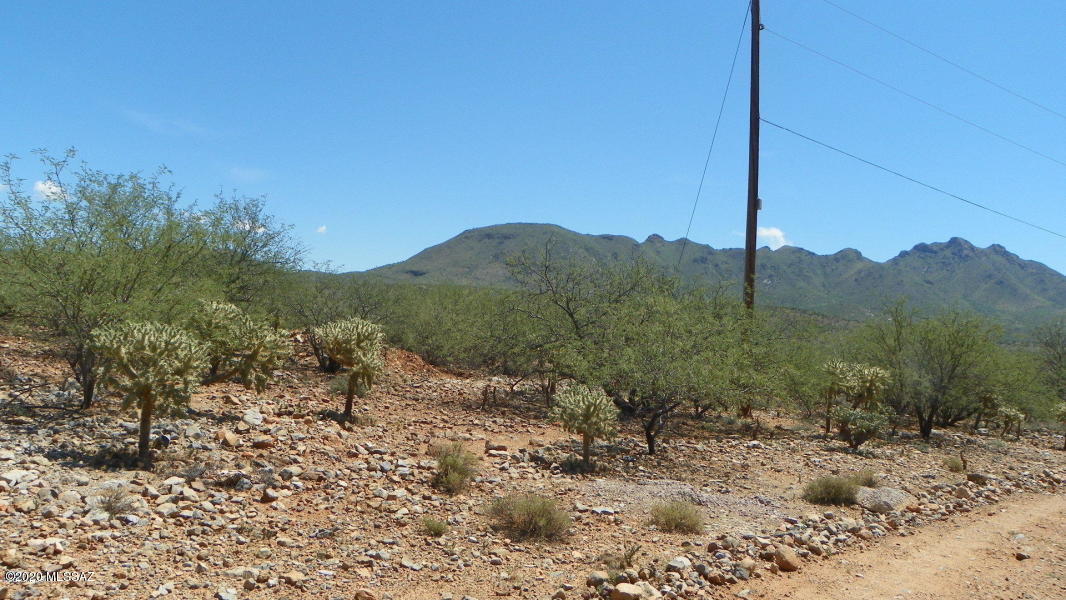 1734 Circulo Agua Blanca, Unit 75 Rio Rico, AZ 85648 - Photo 2 of 2 a view of a forest
