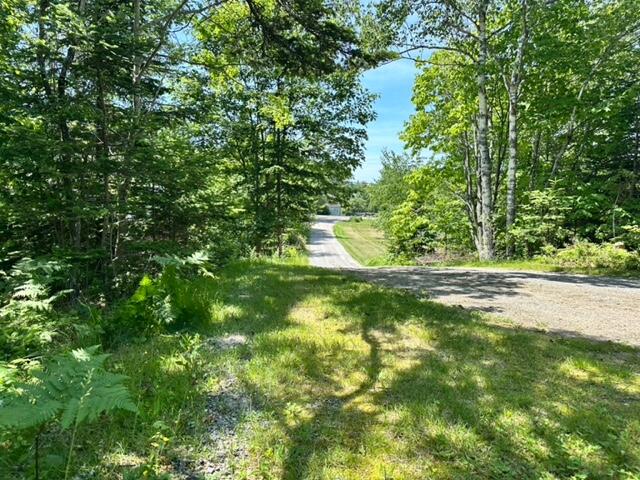 17 Bristol Road Damariscotta, ME 04543 - Photo 3 of 6 IMG_1526