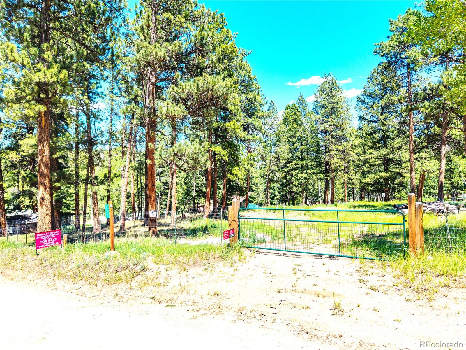 252 Beaver Trail Bailey, CO 80421 - Photo 2 of 12