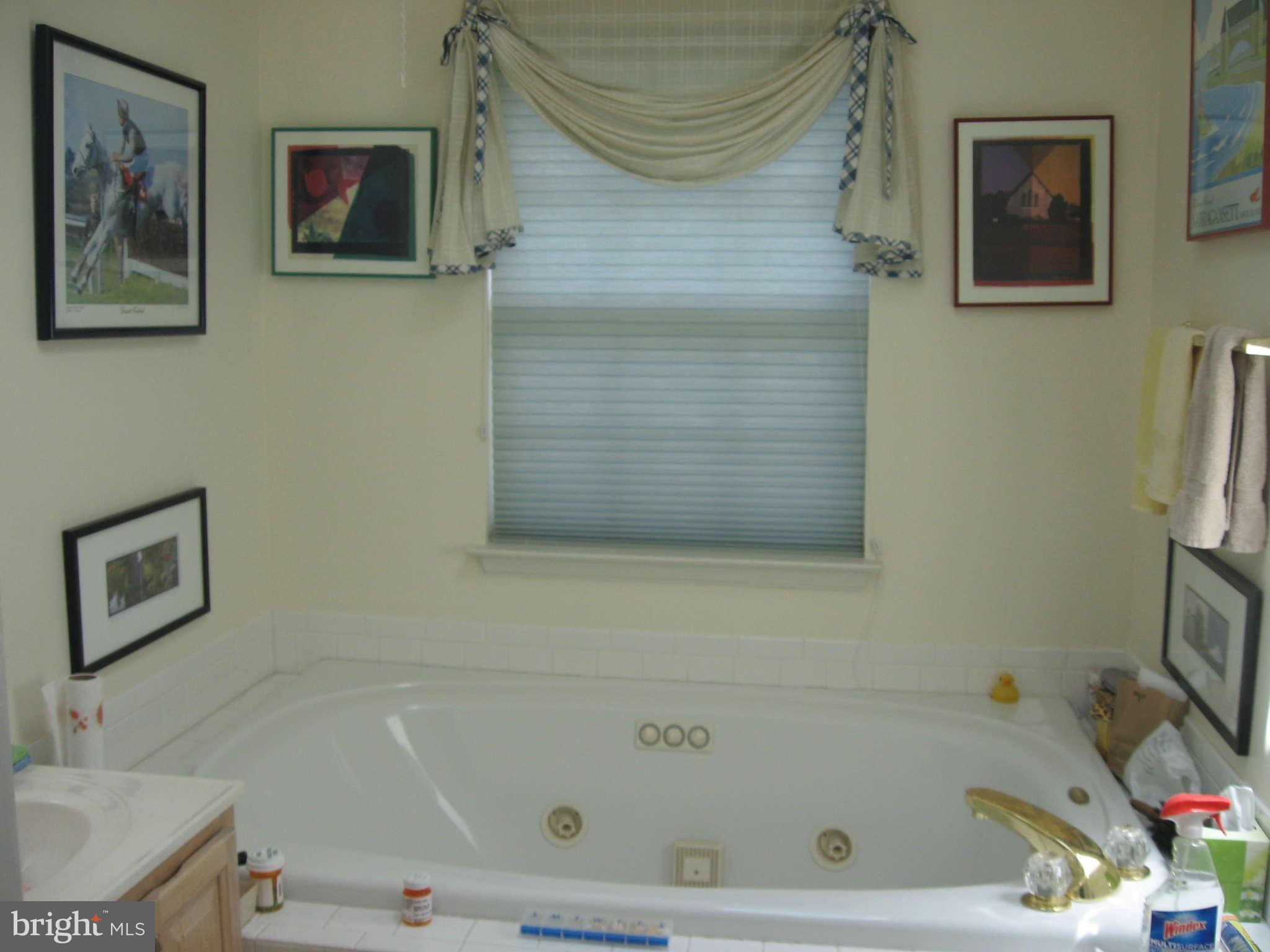 3240 Escapade Circle Riva, MD 21140 - Photo 7 of 11 Bath (Master)