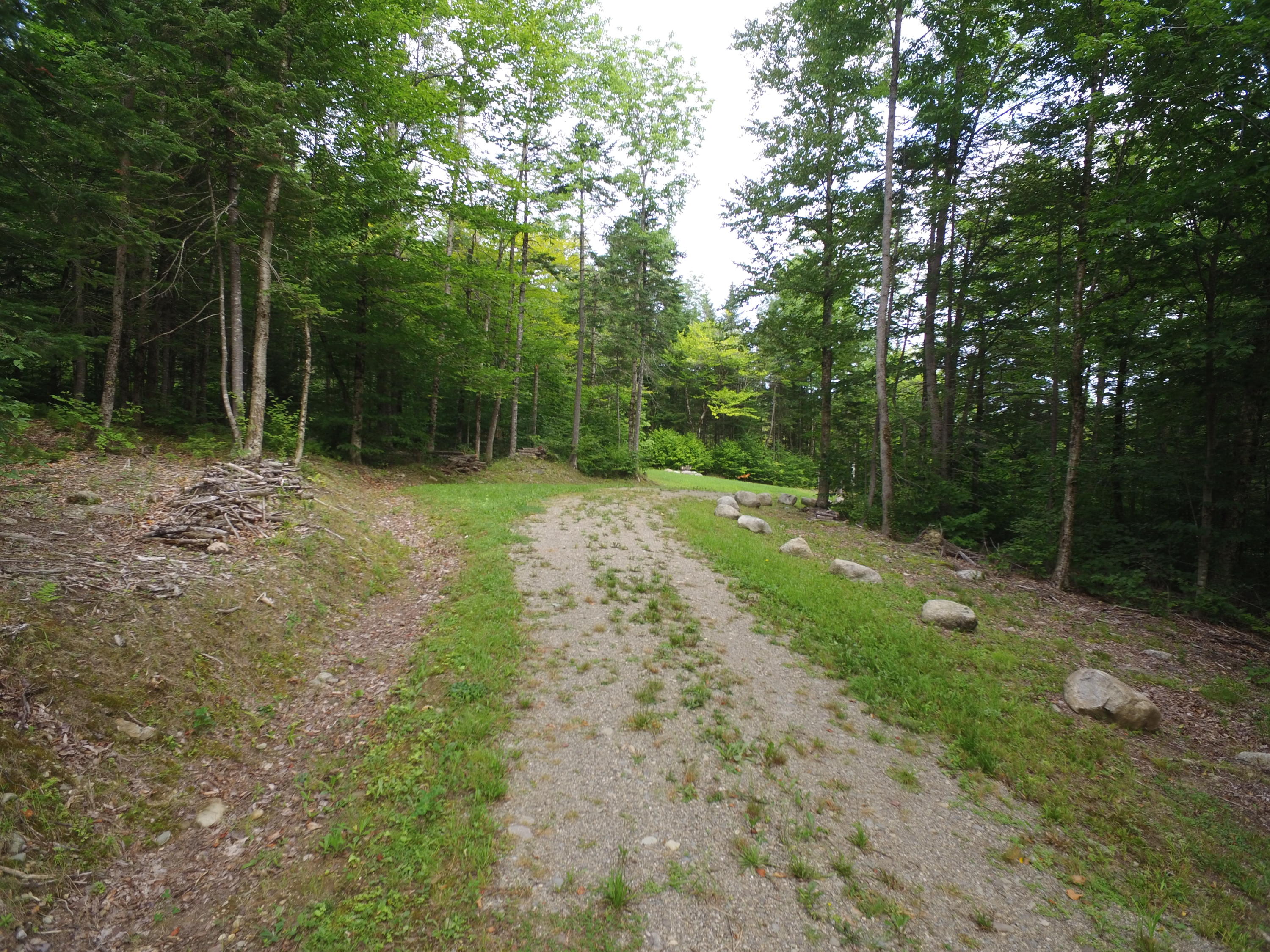 Tbd Brown Road Carroll Plt, ME 04487 - Photo 2 of 12 DJI_0175