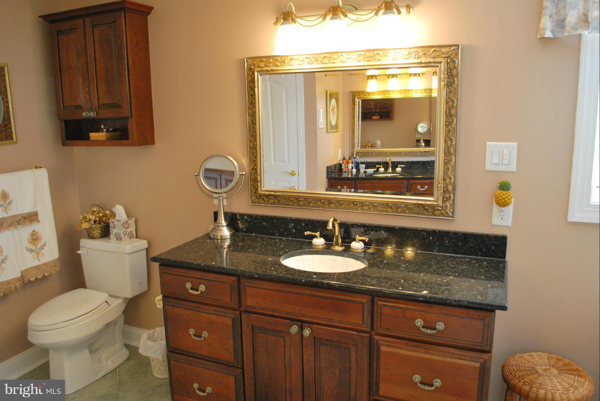 306 Riverside Road Edgewater, MD 21037 - Photo 11 of 30 Bath (Master)