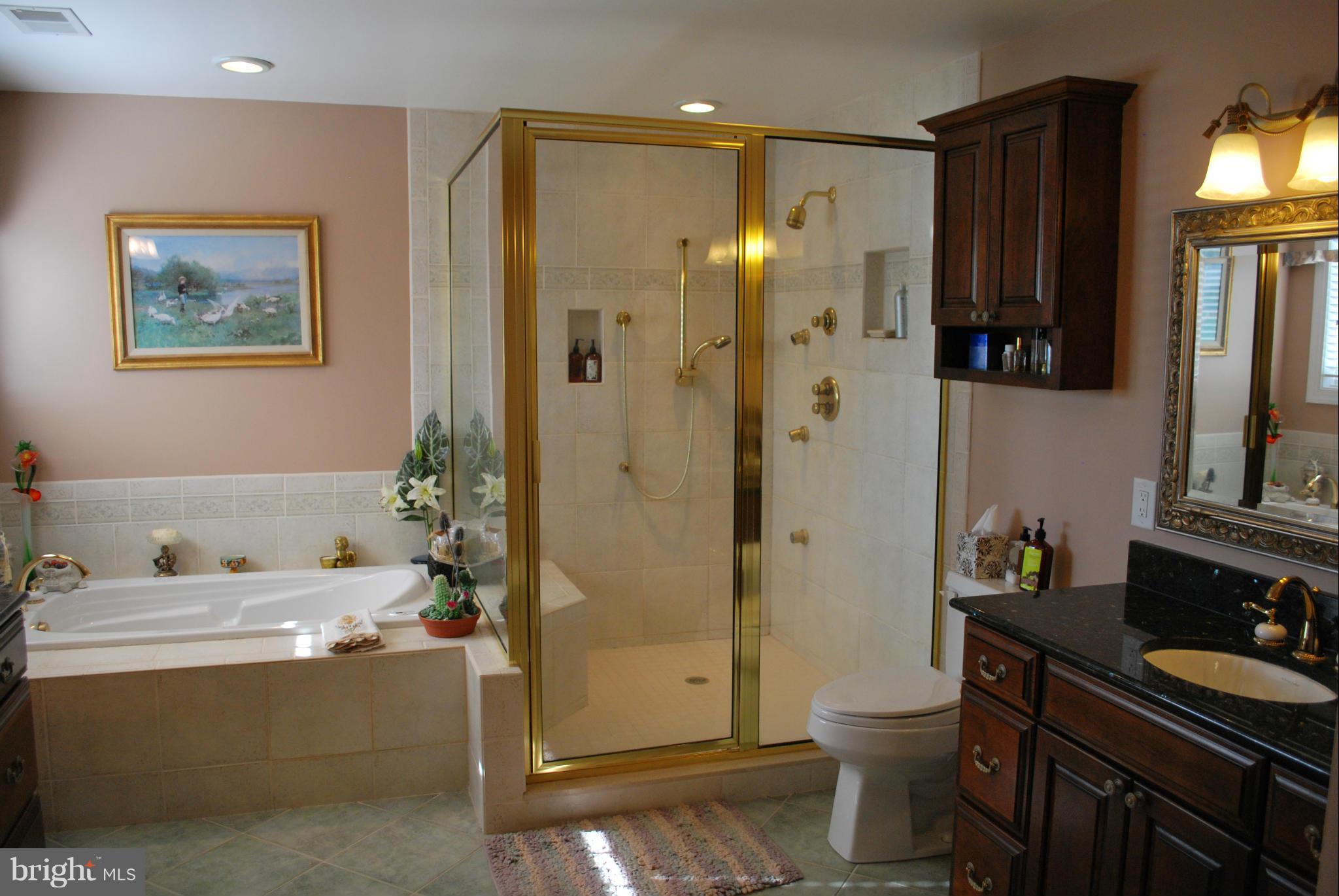 306 Riverside Road Edgewater, MD 21037 - Photo 9 of 30 Bath (Master)