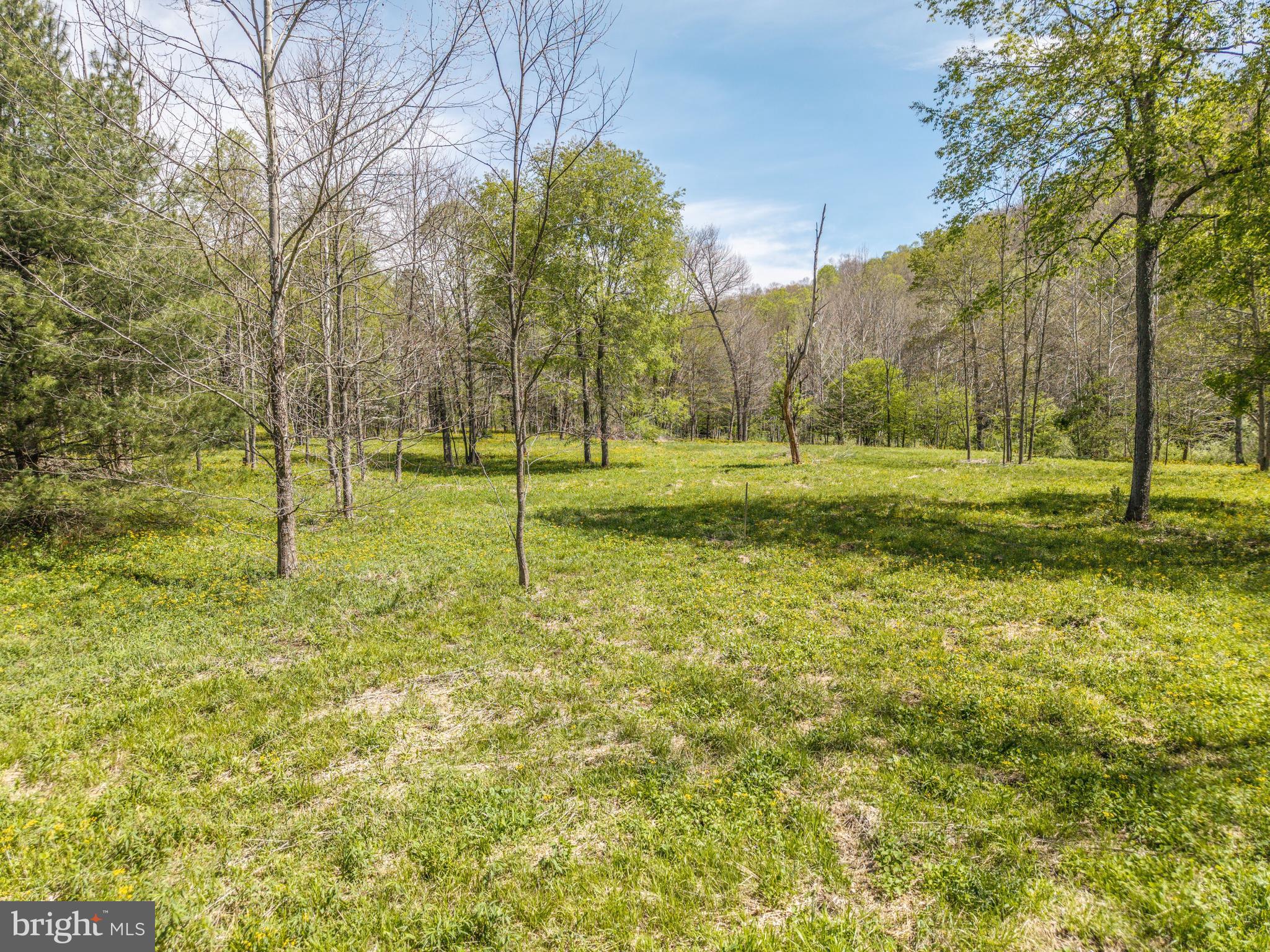 2084 Co Rte 1/14 Cass, WV 24927 - Photo 10 of 84 Gallery Image 10