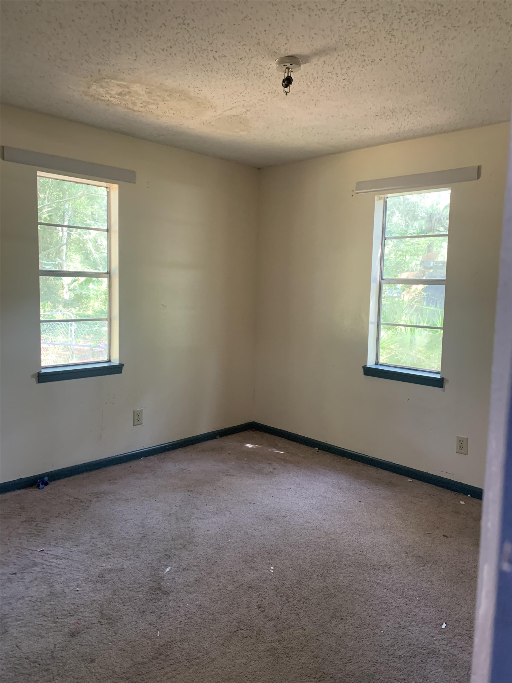 2965 North Johnson Stripling Road Perry, FL 32347 - Photo 5 of 29