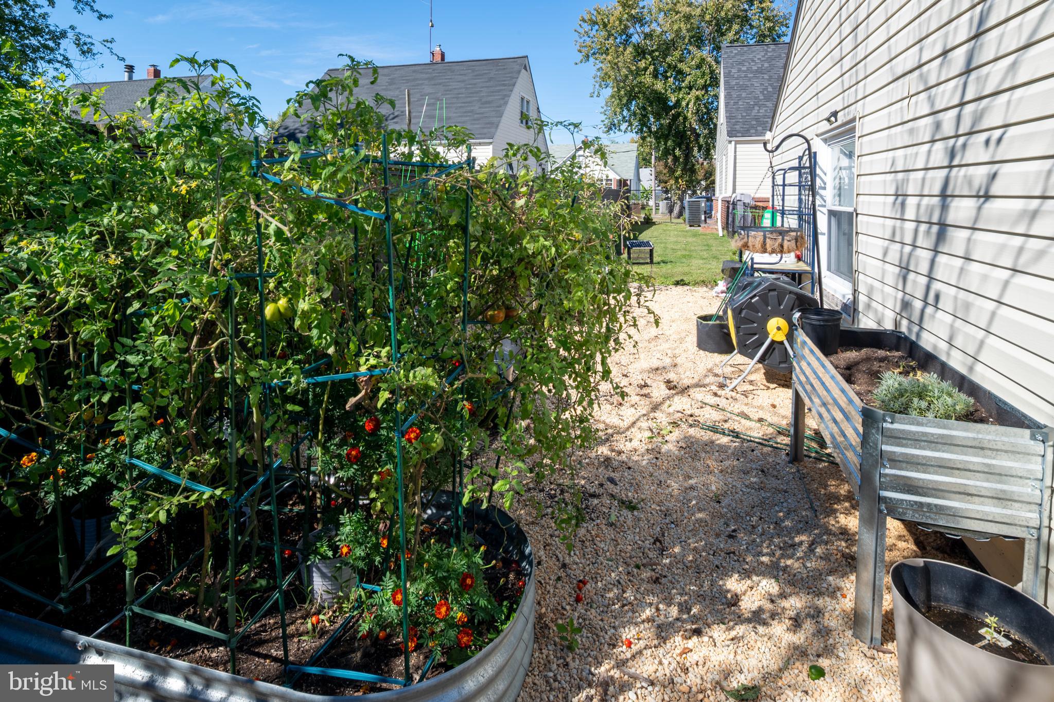 1701 Kirkland Road Dundalk, MD 21222 - Photo 32 of 40 Garden Area