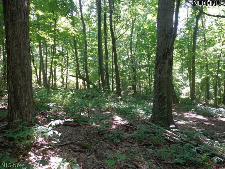 68-sl Georgia Road Middlefield, OH 44062 - Photo 9 of 15