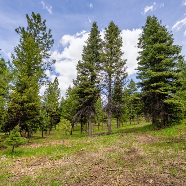 Lot 9 To Be Determined, Unit 9 McCall, ID 83638 - Photo 2 of 2