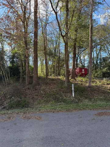 a view of a park with large trees