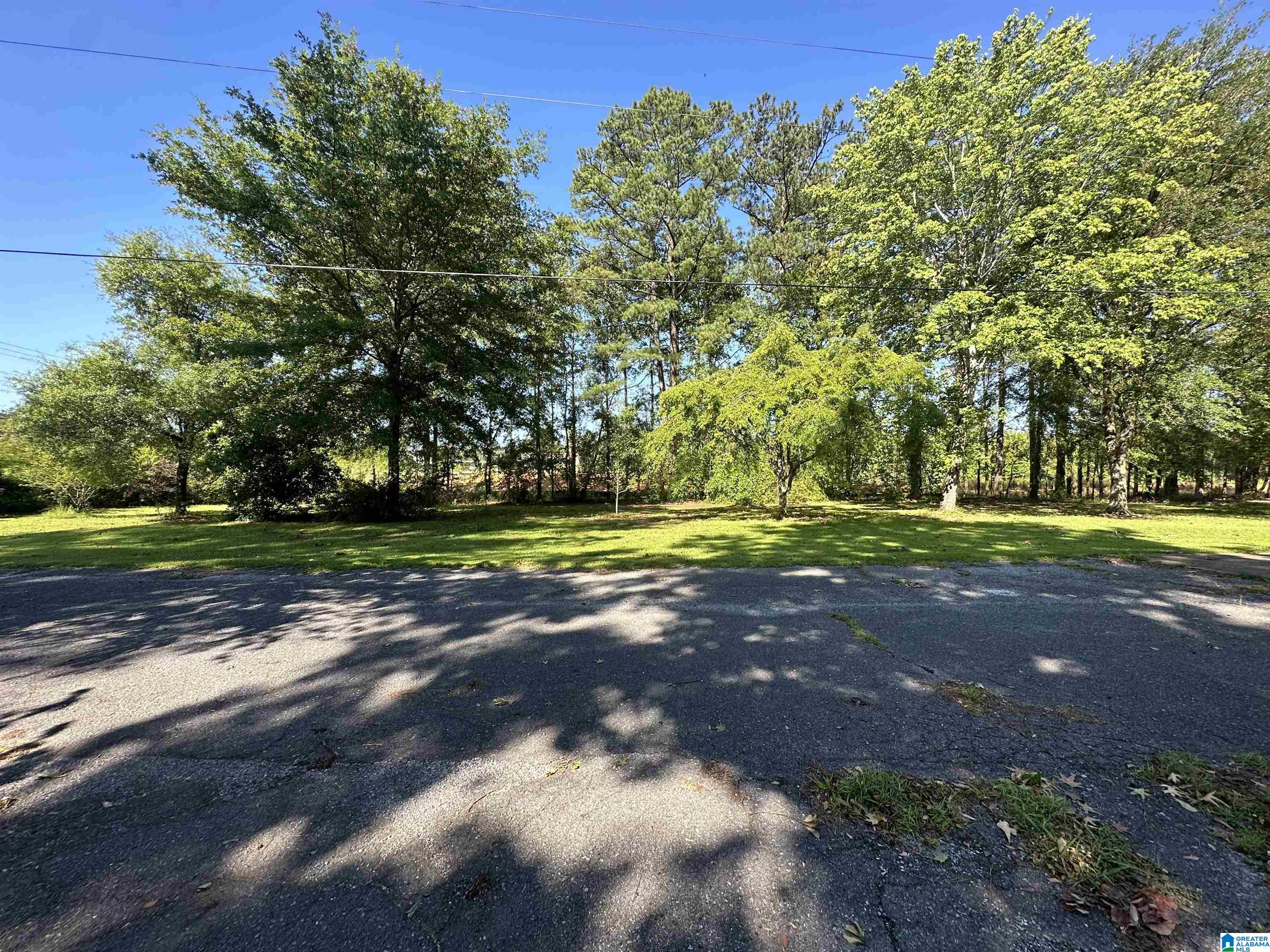 255 Lower Bon Air Road Sylacauga, AL 35150 - Photo 39 of 44