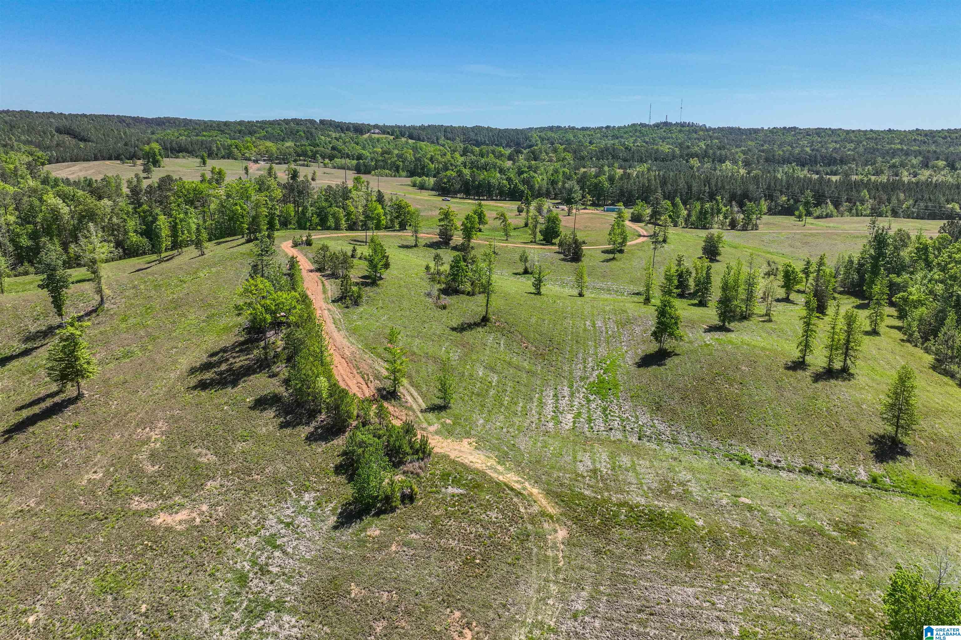 489 4 Wing Lake Road Alabaster, AL 35007 - Photo 23 of 27