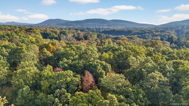 $110,000 | 748 Highway 44, Highland, NY 12528