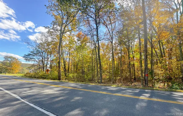 a view of road and trees