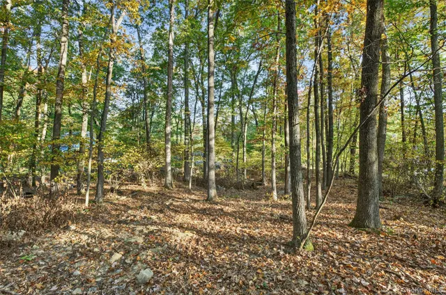 a view of outdoor space with lots of trees