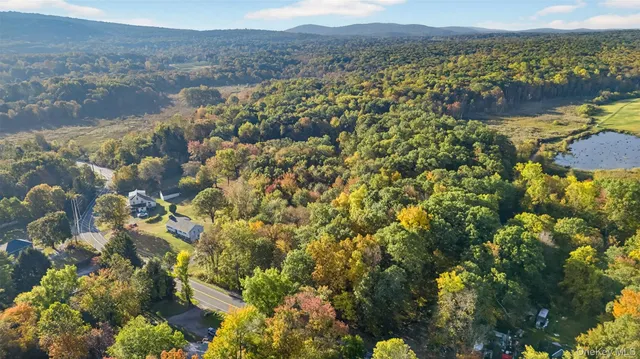 a view of a city with a mountain