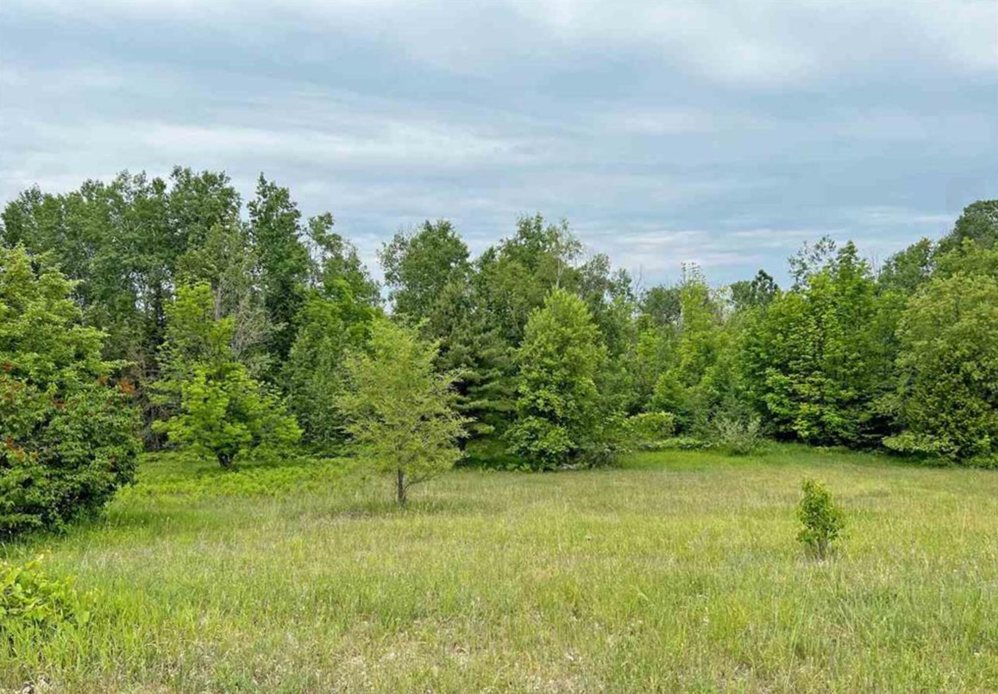 12971 Novotny Road Charlevoix, MI 49720 - Photo 10 of 10 Gallery Image 10