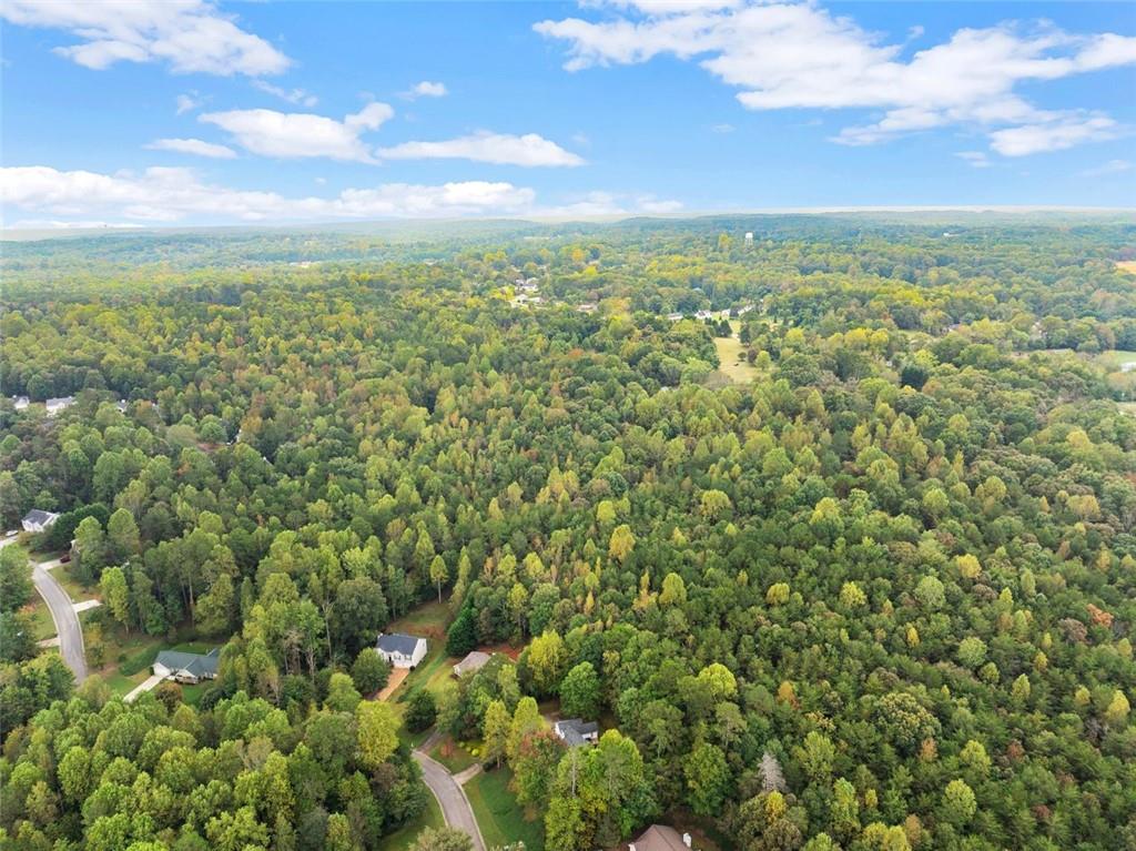 6668 Belton Bridge Road Lula, GA 30554 - Photo 13 of 20 a view of a city with lush green forest