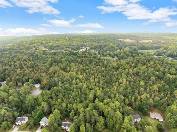 a view of a city with lush green forest