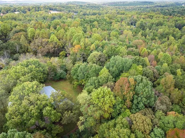 a view of a forest with a houses