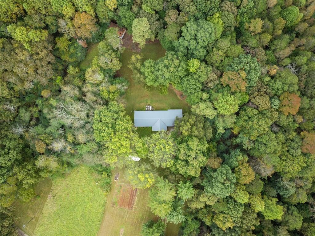 6668 Belton Bridge Road Lula, GA 30554 - Photo 18 of 20 a view of a tree with a yard