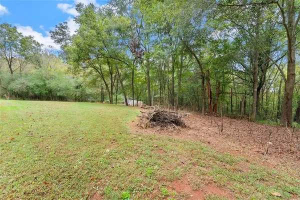 a view of a field with a tree