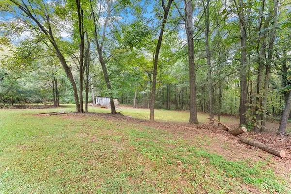 a view of a park with a tree