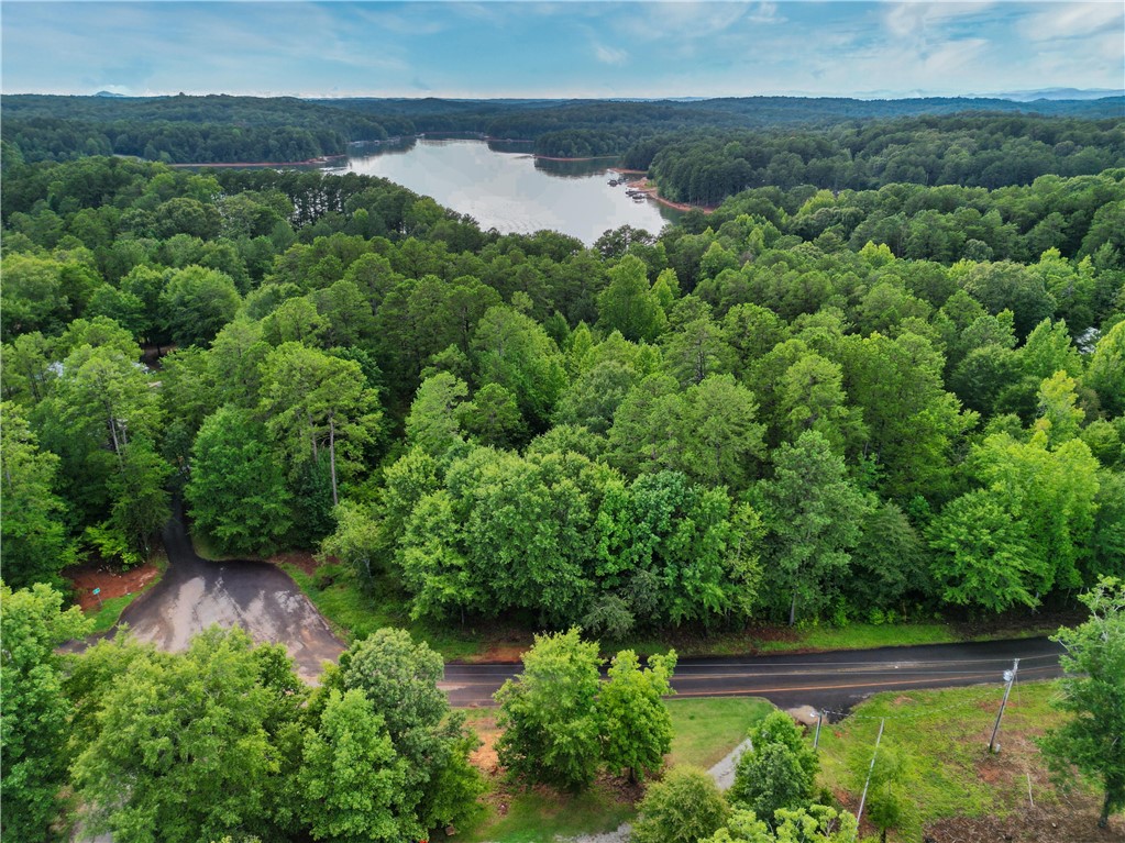 B3 La Z Acres Road, Unit WATERFRONT Westminster, SC 29693 - Photo 11 of 11