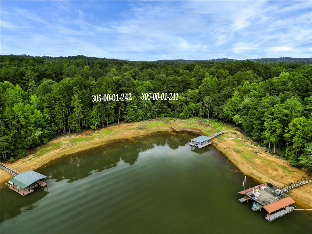 B3 La Z Acres Road, Unit WATERFRONT Westminster, SC 29693 - Photo 2 of 11