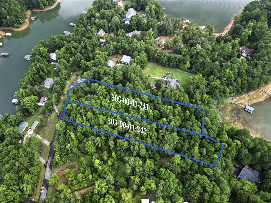 B3 La Z Acres Road, Unit WATERFRONT Westminster, SC 29693 - Photo 4 of 11