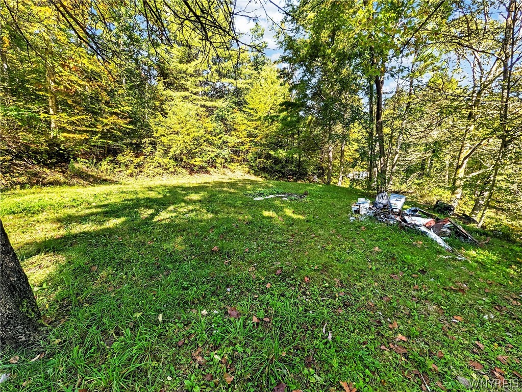 2153 Mulholland Road Erwin, NY 14870 - Photo 14 of 40 Gallery Image 14