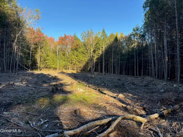$79,900 | L1.112 Kipple Road, Sand Lake, NY 12153