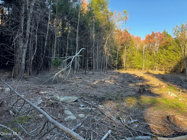 $79,900 | L1.112 Kipple Road, Sand Lake, NY 12153