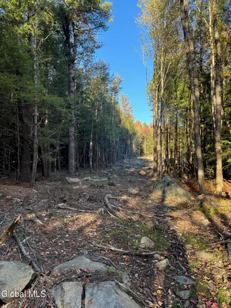 $79,900 | L1.112 Kipple Road, Sand Lake, NY 12153