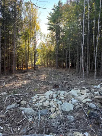 $79,900 | L1.112 Kipple Road, Sand Lake, NY 12153