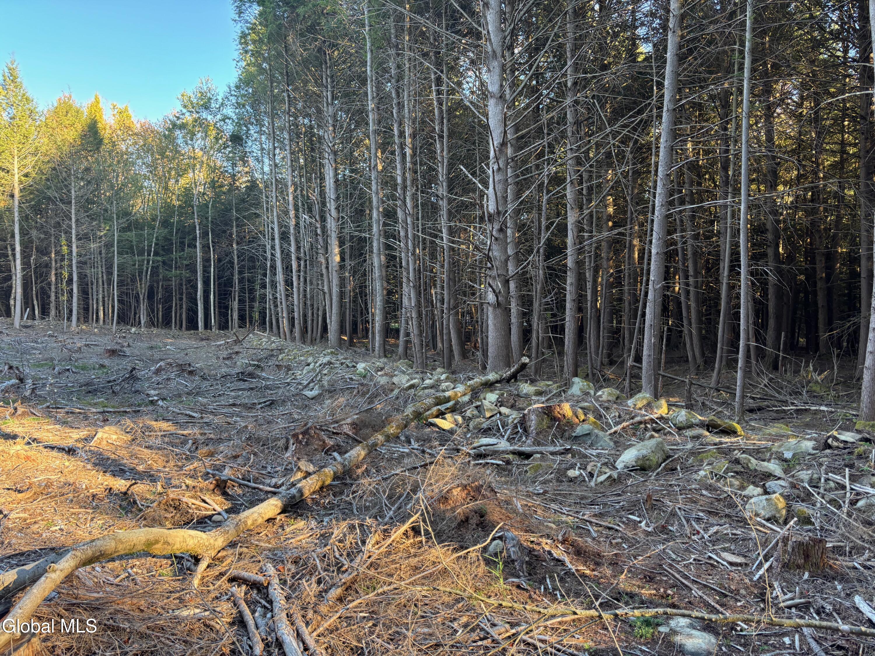 L1.112 Kipple Road Sand Lake, NY 12153 - Photo 7 of 9 IMG_2146