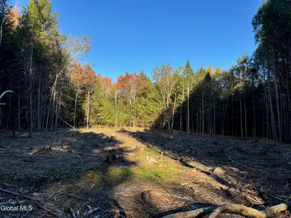 $79,900 | L1.112 Kipple Road, Sand Lake, NY 12153