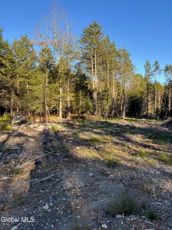 $79,900 | L1.112 Kipple Road, Sand Lake, NY 12153