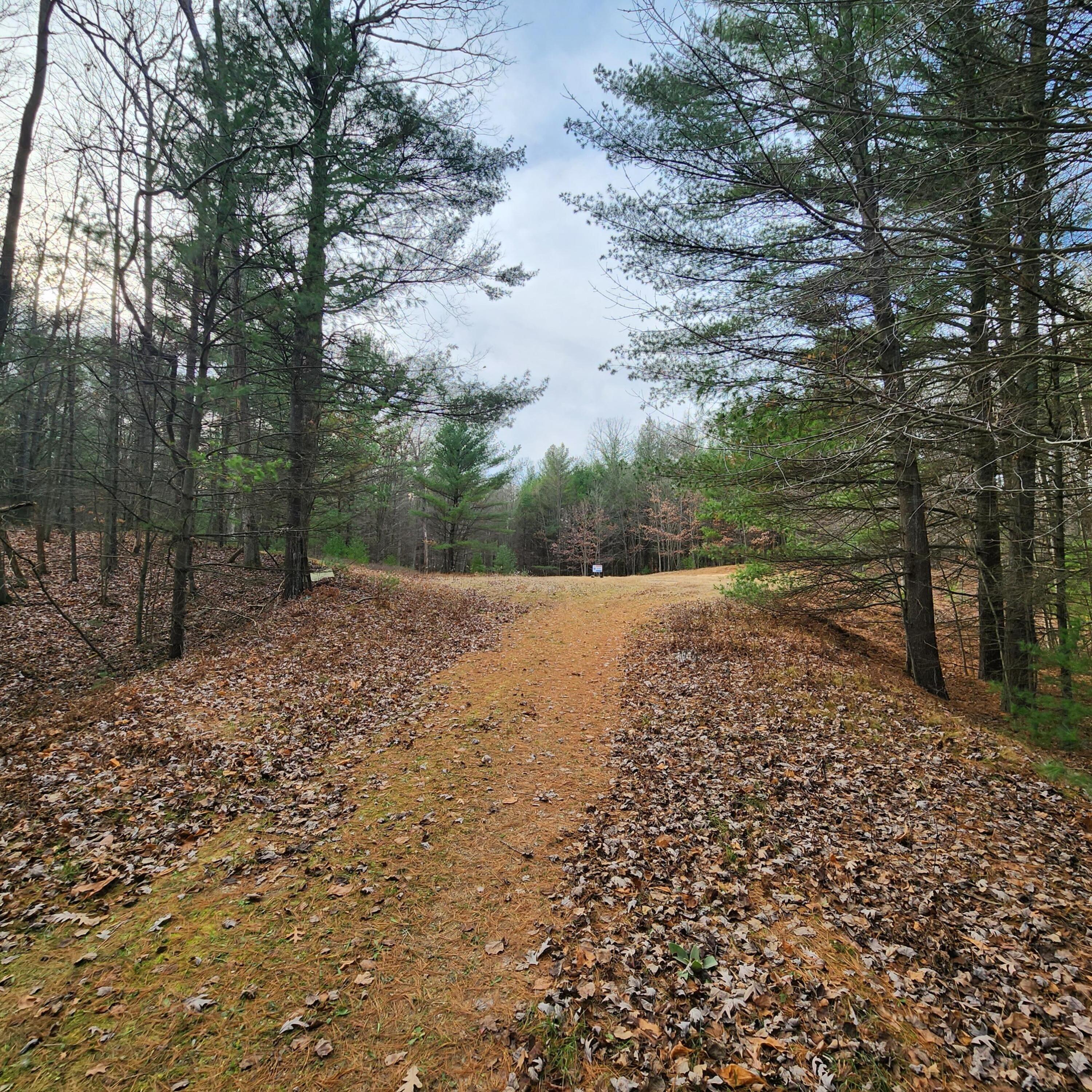 Lot #8 Wayne Road Pentwater, MI 49449 - Photo 1 of 6 Pentwater 8