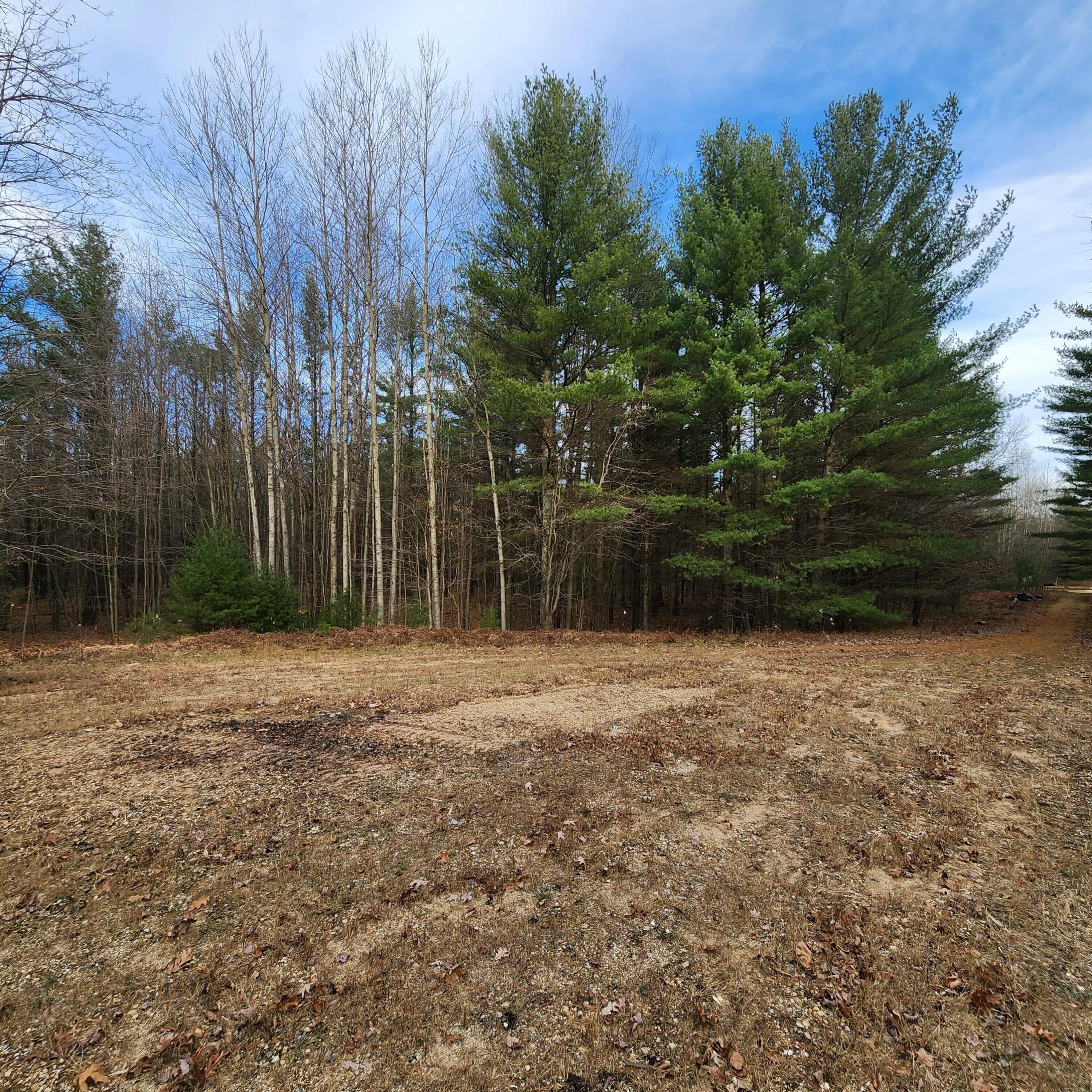 Lot #8 Wayne Road Pentwater, MI 49449 - Photo 4 of 6 Pentwater 5