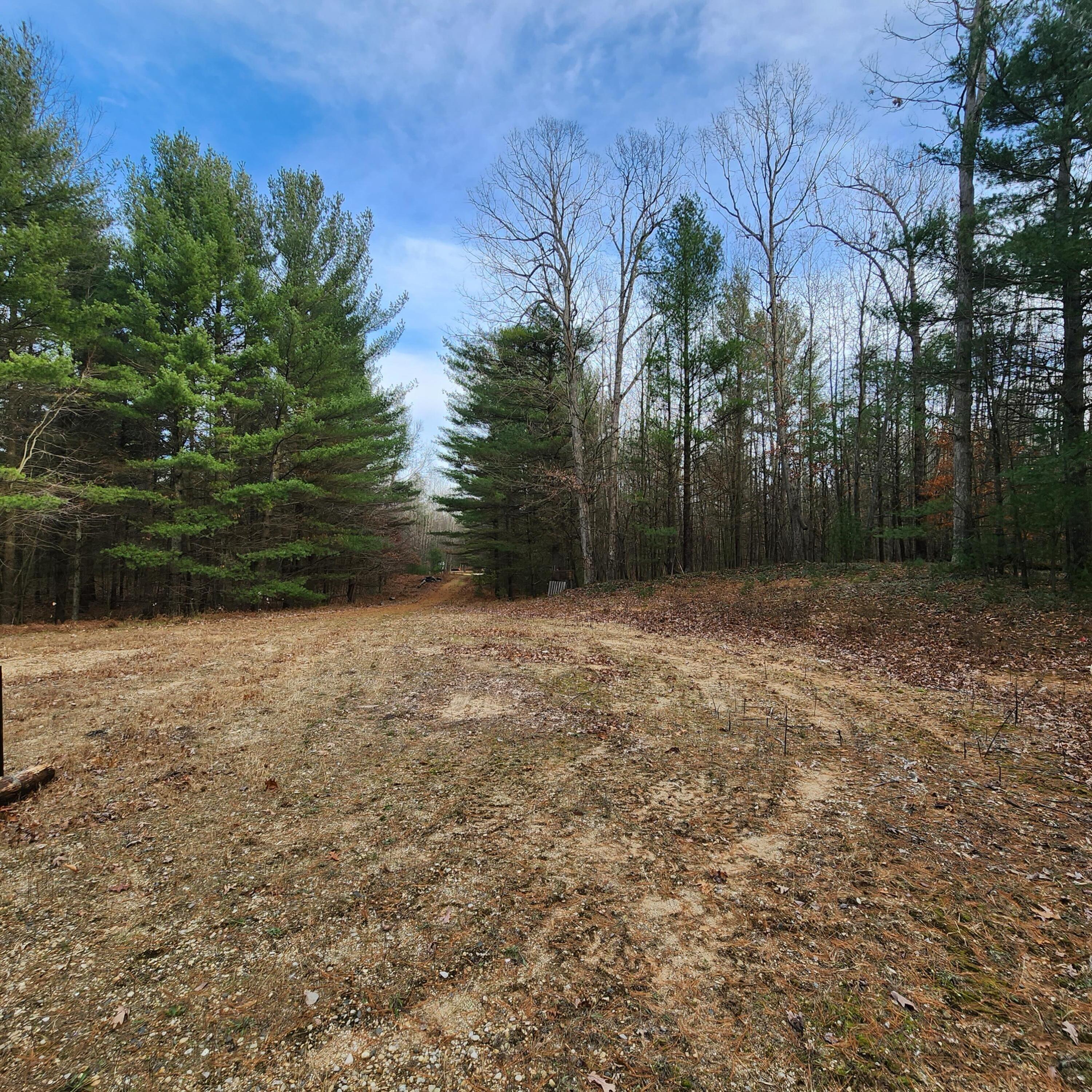 Lot #8 Wayne Road Pentwater, MI 49449 - Photo 6 of 6 Penwater 4