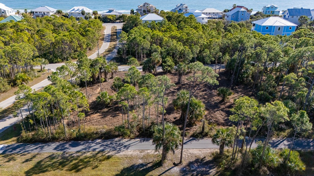 1944 Reed Court West St. George Island, FL 32328 - Photo 6 of 11